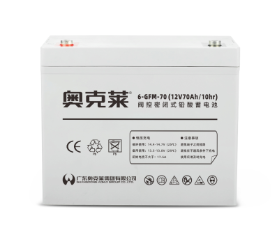 6GFM70型消防应急灯具专用电池